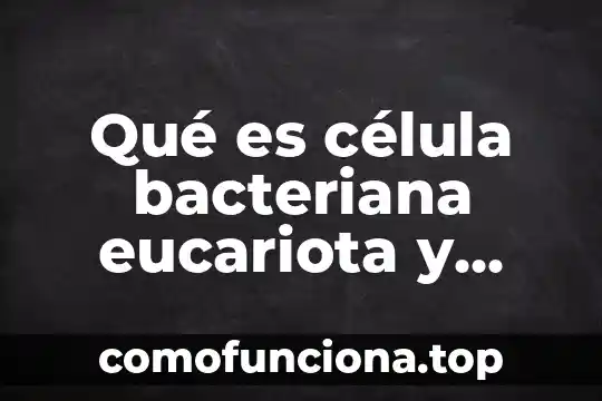 Que es una celula eucariota animal funciones y caracteristicas 3 Qué es célula bacteriana eucariota y procariota