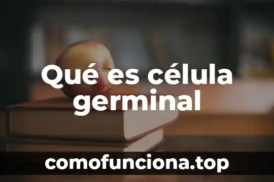 Que es significado de celula 3 Qué es célula germinal