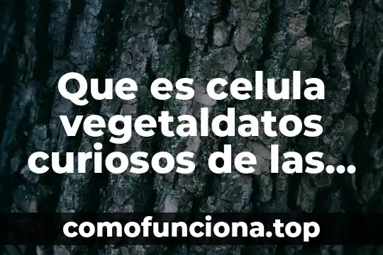Que es el nucleolo en la celula animal 8 Que es celula vegetaldatos curiosos de las jirafas