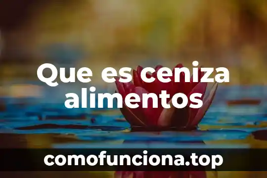 Que es un sol hidrofobico 8 Que es ceniza alimentos