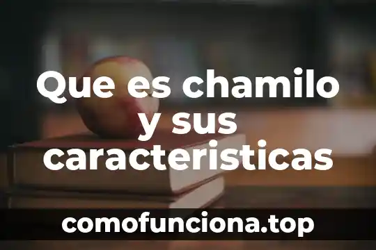 Que es la preposición y sus caracteristicas 4 Que es chamilo y sus caracteristicas