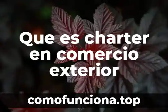 Por que es peligroso no saber historia 5 Que es charter en comercio exterior