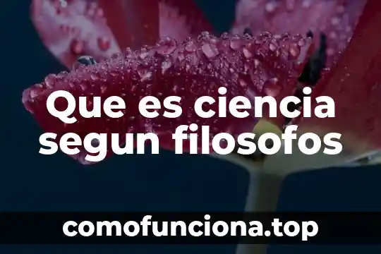 Qué es metáfora según autores 4 Que es ciencia segun filosofos