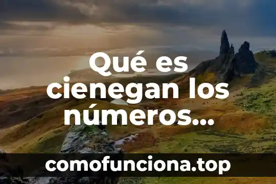Que es la sucesion de numeros con signo 4 Qué es cienegan los números enteros