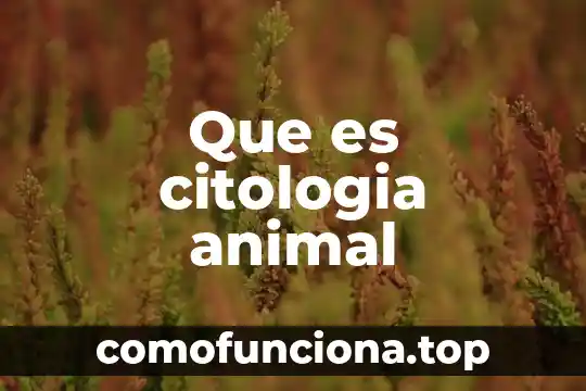 Derecho consular que es 6 Que es citologia animal