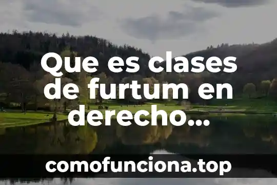 Que es nombre de dominio en derecho romano 4 Que es clases de furtum en derecho romano