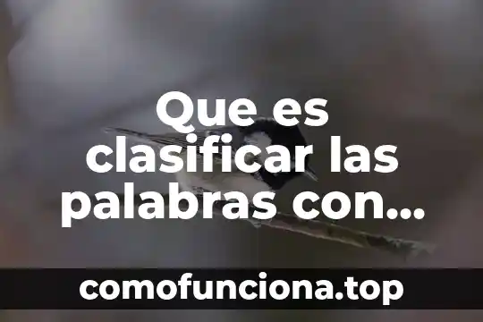 Que es una nube de palabras 7 Que es clasificar las palabras con tilde
