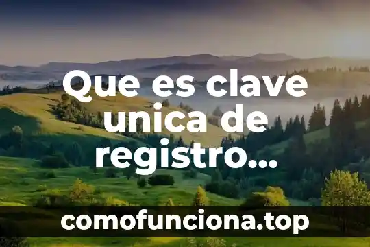 Que es el concepto compensacion nacional unica 3 Que es clave unica de registro arrendatario