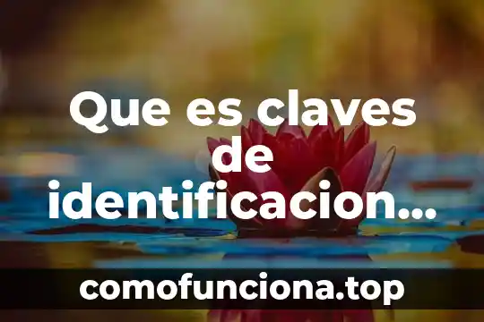 Qué es el número de identificación vehicular NIV 7 Que es claves de identificacion electronica confidencial
