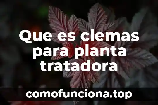 Que es la yemula de una planta 3 Que es clemas para planta tratadora