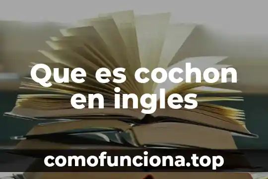 Que es doit ingles 4 Que es cochon en ingles