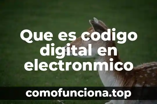 Que es la carrera de animacion y arte digital 5 Que es codigo digital en electronmico