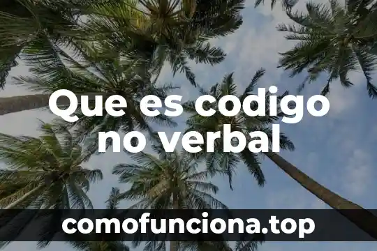 Qué es el tiempo verbal pretérito 5 Que es codigo no verbal