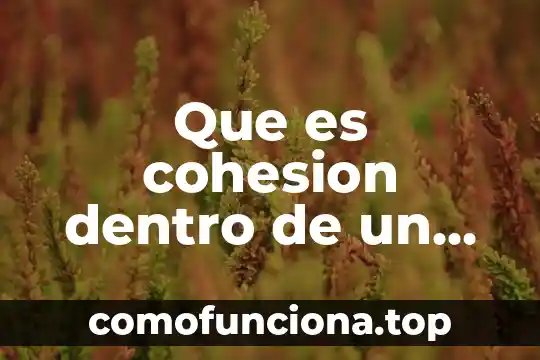 Que es sentido de pertenencia y cohesion social 4 Que es cohesion dentro de un ensayo