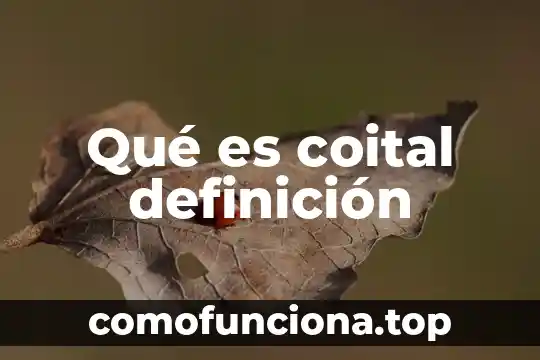 Qué es la rocalla definición 7 Qué es coital definición