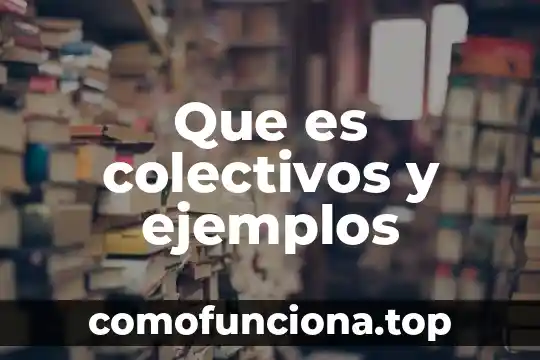 Que es la solidaridad en la sociedad ejemplos 3 Que es colectivos y ejemplos