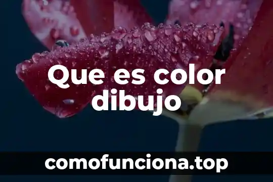 Para que es la base color 7 Que es color dibujo
