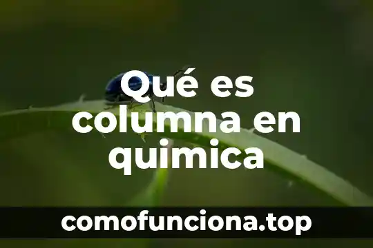 Que es una columna en una tabla de word 6 Qué es columna en quimica