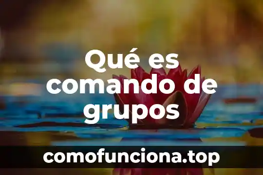 Que es valores lógicos 8 Qué es comando de grupos