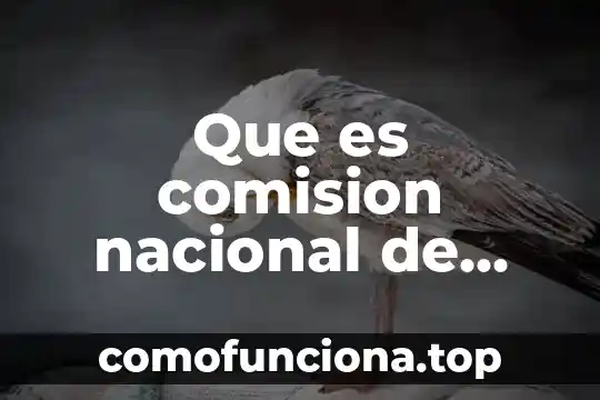 Qué es el escudo nacional de Colombia 3 Que es comision nacional de seguridad