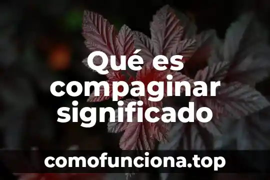 Que es zarcillos significado 4 Qué es compaginar significado