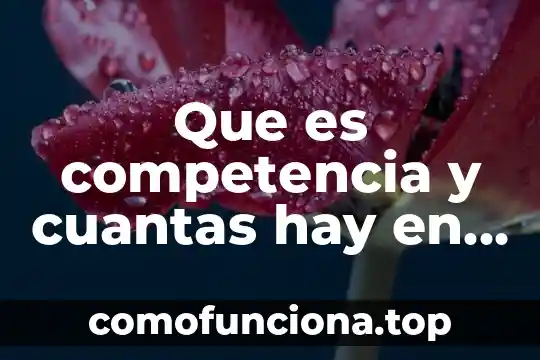Qué es axiología y con cuantas ramas se relaciona 7 Que es competencia y cuantas hay en el area legal