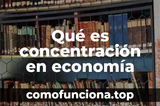 Qué es la abstracción en economía 8 Qué es concentración en economía