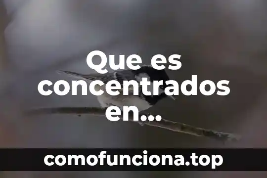 Que es oficina de representación administración pública 5 Que es concentrados en administracion publica