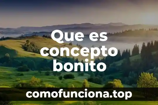 Que es un hombre bonito 7 Que es concepto bonito