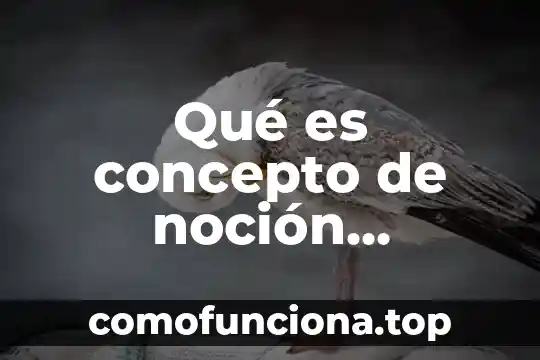 Que es mancomunado en contabilidad 6 Qué es concepto de noción contabilidad