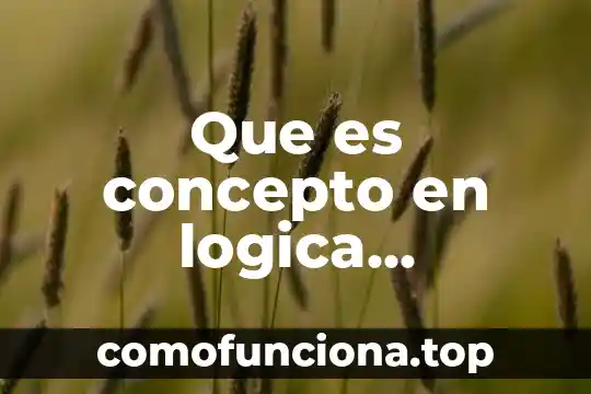 Que es el preambulo concepto 4 Que es concepto en logica ejemplos