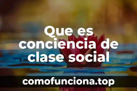 Que es caridad social 5 Que es conciencia de clase social