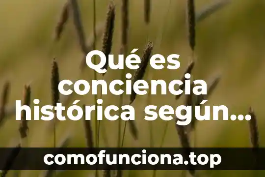Que es organigrama segun autores 8 Qué es conciencia histórica según autores