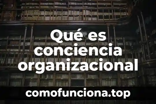 Que es un contratos entre ausentes 6 Qué es conciencia organizacional