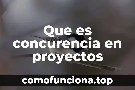 Qué es un análisis de hipótesis en administración de proyectos 4 Que es concurencia en proyectos