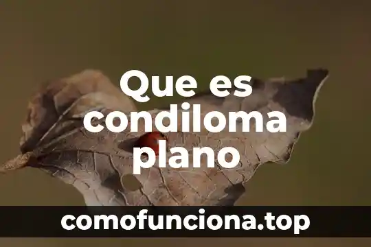 Plano segmental que es 8 Que es condiloma plano
