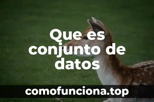 Qué es ser un conjunto denso 8 Que es conjunto de datos