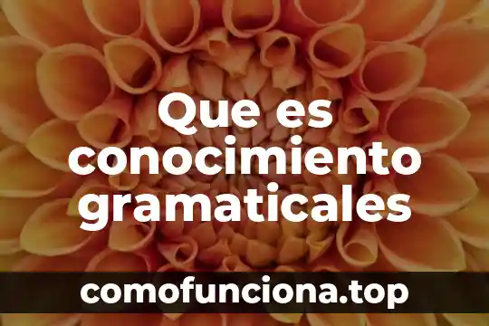 Que es el conocimiento en minería de datos 5 Que es conocimiento gramaticales