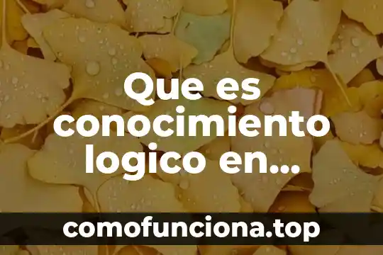 Que es el pensamiento logico matematico infantil 3 Que es conocimiento logico en educacion inicial