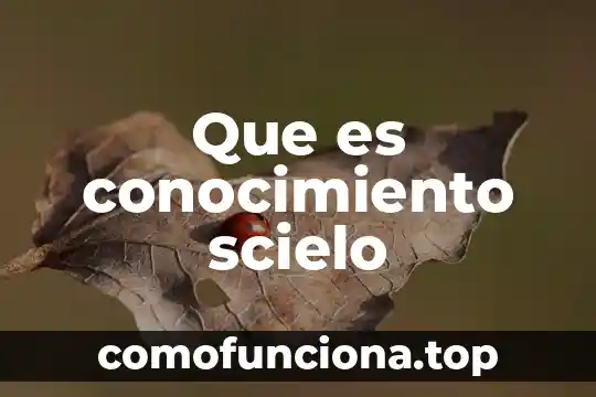 Que es conocimiento lógico 8 Que es conocimiento scielo
