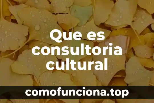 Que es elegado cultural 3 Que es consultoria cultural