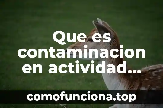 Que es el enves de una planta 4 Que es contaminacion en actividad domestica