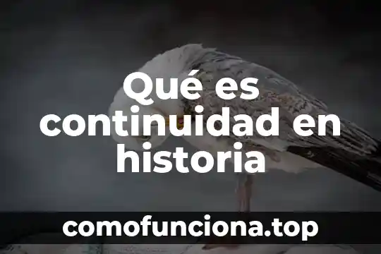 Que es declaraciones en historia 7 Qué es continuidad en historia