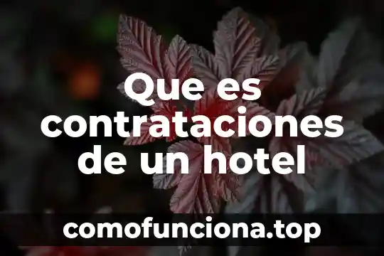 Que es educar para la libertad 7 Que es contrataciones de un hotel