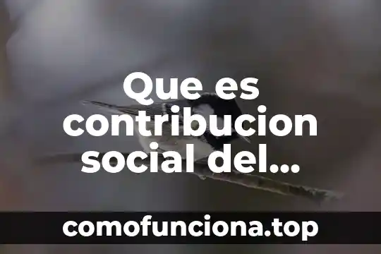 Que es ser social y el ser inteligente 7 Que es contribucion social del proyecto