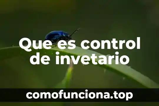 Qué es el tallo de una planta 3 Que es control de invetario