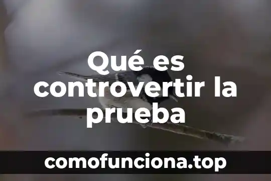 Que es considerado significado 5 Qué es controvertir la prueba