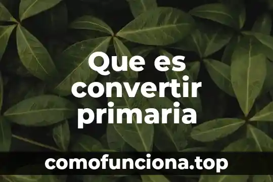 Que es el division y el significado primaria 7 Que es convertir primaria
