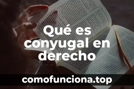 Que es figura juridica en derecho 4 Qué es conyugal en derecho