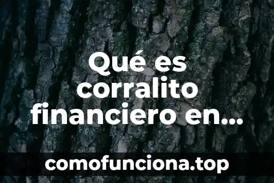 Que es ser financiero 6 Qué es corralito financiero en México